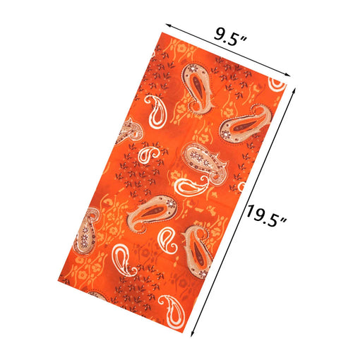 Paisley Bandannas Outdoor Sport Seamless Tube Neck Gaiter Face Shield