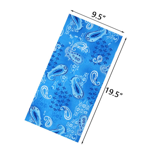 Paisley Bandannas Outdoor Sport Seamless Tube Neck Gaiter Face Shield